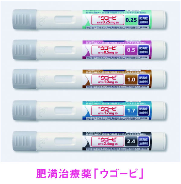 ウゴービについて